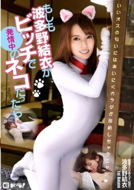 EDRG-009 - When Was The Cat In Estrus If Hatano Yui Bitch - E Dora!