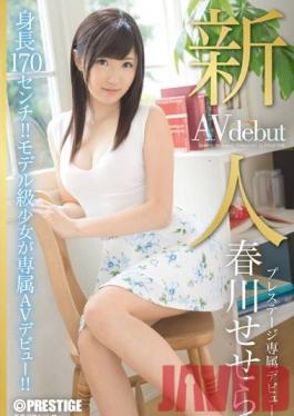 BGN-024 Studio Prestige Fresh Face. Exclusive Debut For Prestige. Sesera Harukawa