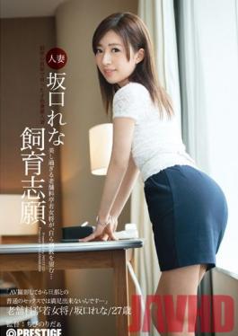 AKA-009 Studio Prestige Married Woman Rena Sakaguchi Wants To Be A Pet