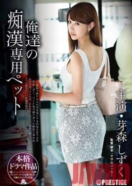 ABP-204 Studio Prestige Our Own Molester Pet Shizuku Memori