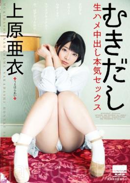 HODV-21141 Serious Sex Uehara Ai Out Bare Live In Saddle