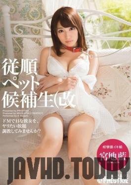 ABP-294 Studio Prestige - Obedient Pet Candidate Kai Miyaji Ai