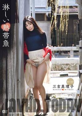 TSDS-46025 Studio Primer - Lonely tropical fish Mariko Miyoshi