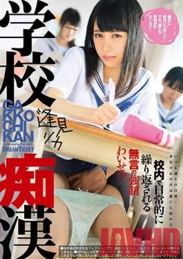 TYD-002 Studio Dream Ticket - School Slut Rika Aimi