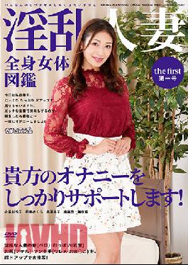 ARMF-020 Studio Aroma Kikaku Nasty Married Woman Full Body Picture Book No. 1