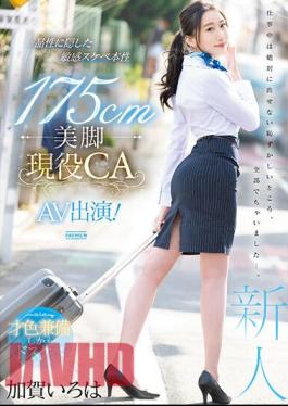 PRED-494 175cm Beautiful Legs Active CA AV Appearance! Kaga Iroha