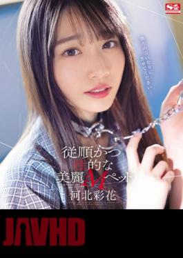 Uncensored SSIS-839 Obedient And Sexual Beautiful M Pet Ayaka Kawakita (Blu-ray Disc)