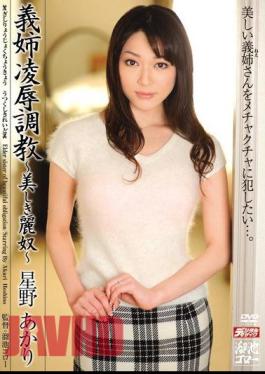 Mosaic MDYD-526 Akari Hoshino - Beautiful Lijiang Fellow Sister-in-law - Rape Torture