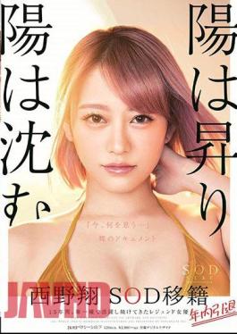 Mosaic STARS-113 The Sun Rises And The Sun Sinks Sho Sho Nishino Resigned Within The Year Retirement Within The Year 15 Years, Legendary Actress Who Has Been Active On The Front Line "What Do You Think Now ..." Naked Document