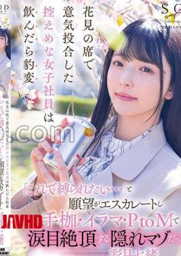 START-254 A modest female employee who hit it off at the cherry blossom viewing table suddenly changed when she drank, "I want to be tied up with this ...", and her desire escalated, and she was a hidden masochist who climaxed with tears in her eyes with handcuffs, deep throat, and PtoM! Nanao Ayatsuki 