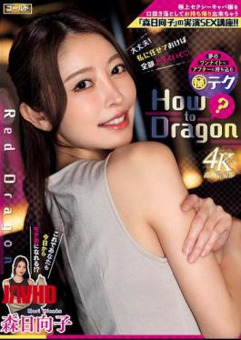 Mosaic GDRD-043 Red Dragon Hinako Mori (GDRD-043)