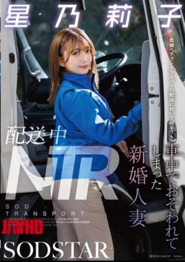 Mosaic START-354 NTR During Delivery: A Newly Married Wife Was Attacked In The Car While Accompanying A Married Veteran Driver On A Delivery - Hoshino Riko