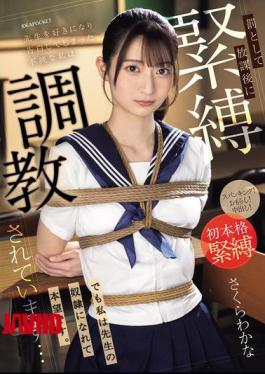 Mosaic IPZZ-653 I Fell In Love With My Teacher And Confessed My Feelings To Him, So As Punishment I Am Being Tied Up And Trained After School... But I Am Happy To Be His Slave. Wakana Sakura