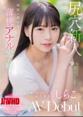 Mosaic MISM-412 Anal Newcomer: A Pale Peach Anal Melts In The Morning Dew, Blooming, Pure White Beauty Who No One Knows About, Shirako AV Debut