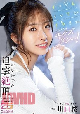 MIDA-394 No Matter How Many Times She Cums, She's In Trembling Ecstasy! Sakura Kawaguchi's First Chase Climax