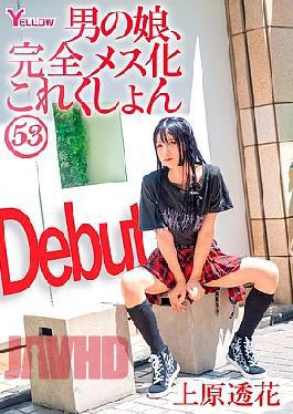 HERY-165 Boy's Daughter, Complete Feminization Collection 53 Uehara Touka