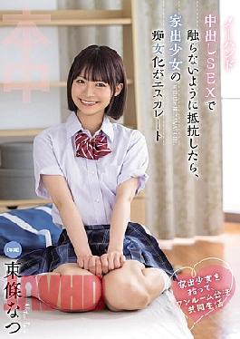 Mosaic HMN-752 I Picked Up A Runaway Girl And We Started Living Together Legally In A One-room Apartment. When She Resisted Being Touched During No-hands Creampie Sex, The Runaway Girl's Transformation Into A Slut Escalated. Natsu Tojo