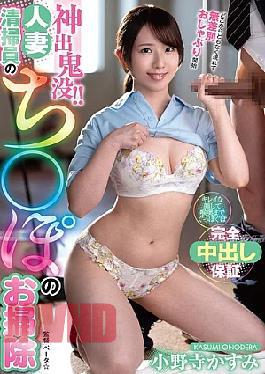 VEMA-256 Appearing Out Of Nowhere!! Housewife Cleaning Lady Kasumi Onodera Cleans Dicks