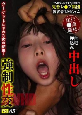YMRK-065 A Group Of Brutal Rapists Target A Female College Student Living Alone, Forcing Her Into Their Home And Forcing Her To Have Sex With Them Vol. 65 Victim TM-chan