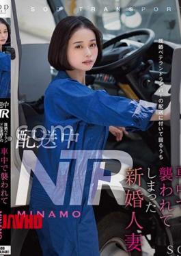 Mosaic STAR-895 In Transit NTR: A Newlywed Wife Attacked in the Car While Accompanying a Seasoned Married Driver on Deliveries - MINAMO