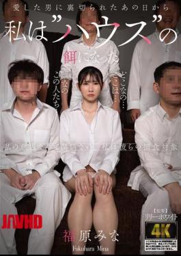 Mosaic AGAV-166 Since The Day I Was Betrayed By The Man I Loved, I've Become Prey To The 'house'. - Minami Fukuhara