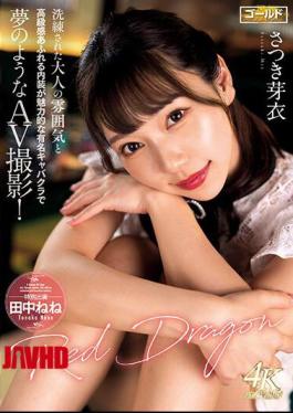 Mosaic GDRD-023 Red Dragon Mei Satsuki