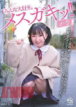 Mosaic DORR-006 Everyone Loves Mesugaki! Kana Yura Kana