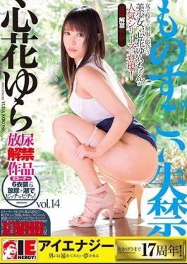 Mosaic IENE-755 Tremendous Incontinence Vol.14 Kokorohana Yura