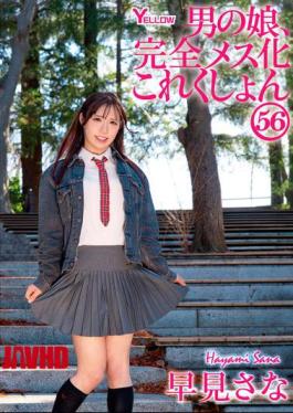 Mosaic HERY-169 Crossdressing Boys, Complete Feminization Collection 56: Sana Hayami