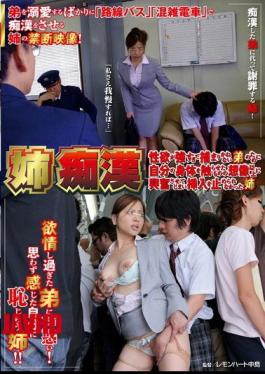 Mosaic NHDTA-316 Sister, I Could Not Stop The Insertion Would Excite More Than The Imagination But His Body Was Touched For That Could Get Caught Brother Sister Sex Pervert Is Too Strong