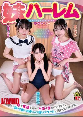 IENF-452 Sister Harem