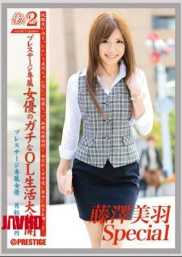 Mosaic JOB-034 Woman Working 2 VOL.38