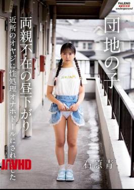 FTHTD-212 A Girl From A Housing Complex Was Turned Into A Sex Doll By A Neighborhood Old Man One Afternoon When Her Parents Were Away. - Aoi Ishihara